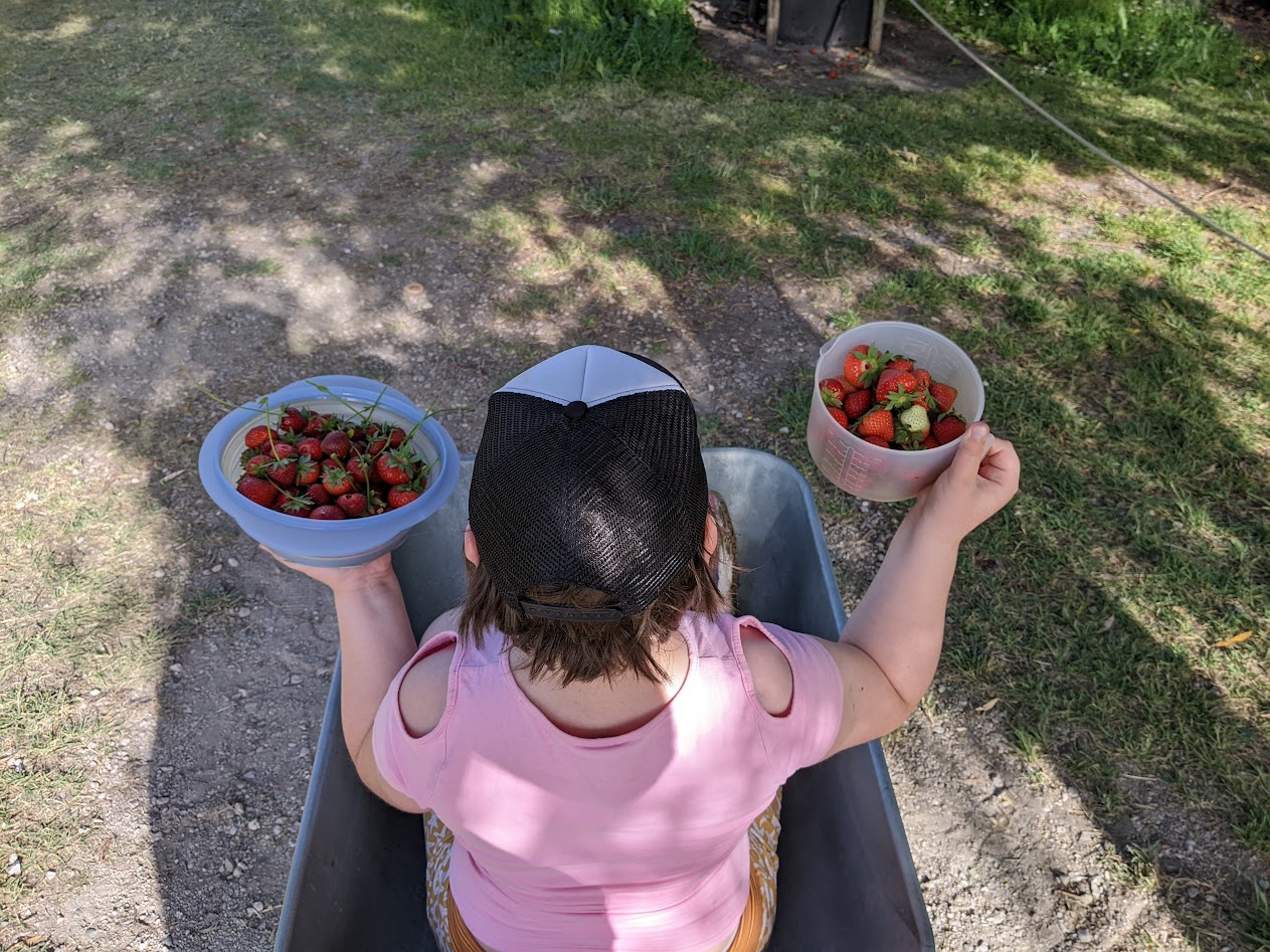 Collecting is only part of the experience, a huge playground is present there, too.