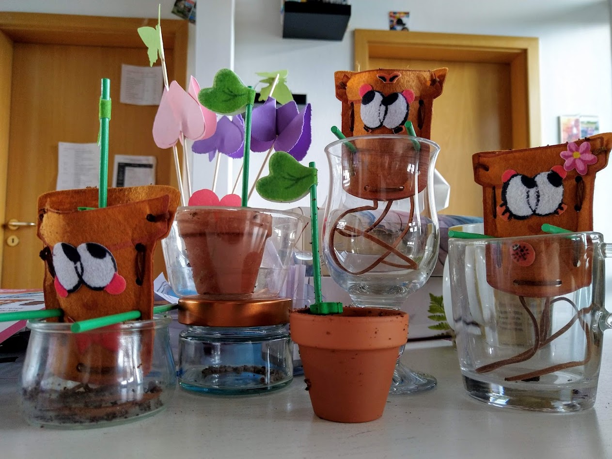 Seeds for Radish cute looking