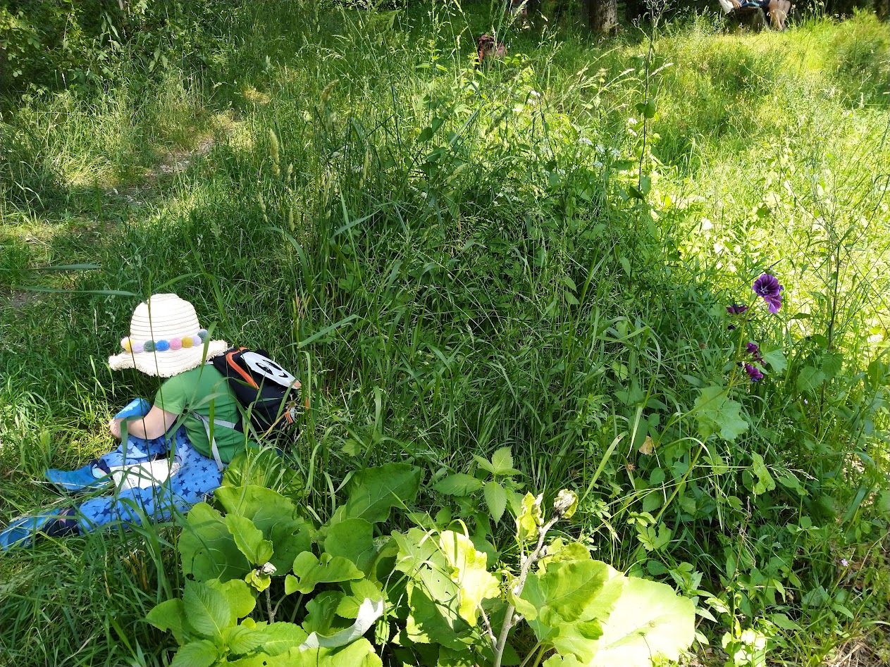 Girl in the woods draws and writes what she hears.