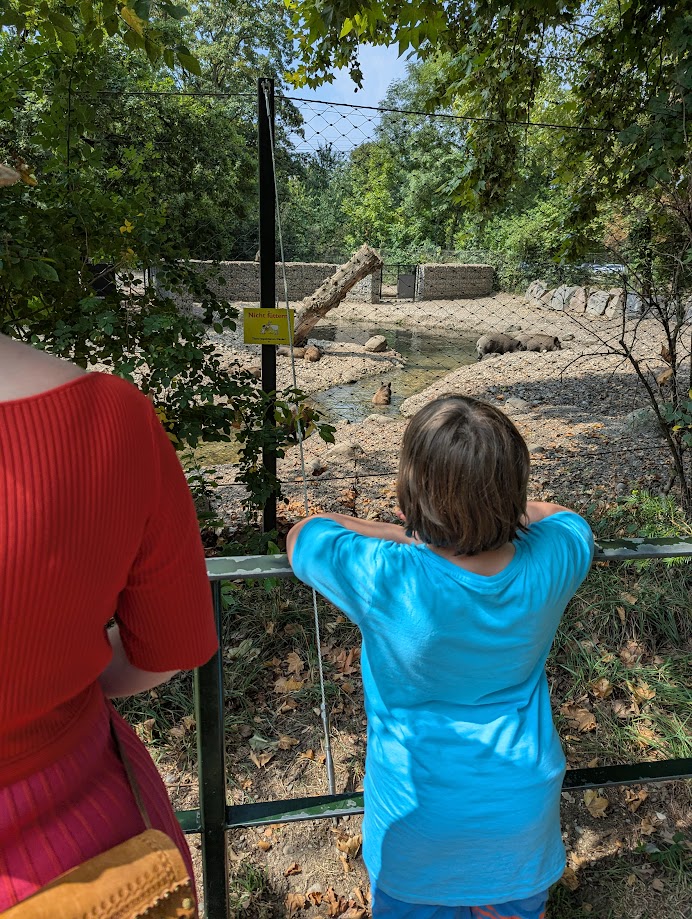 More or less wild animals could be seen in Basel, no entrance fee.