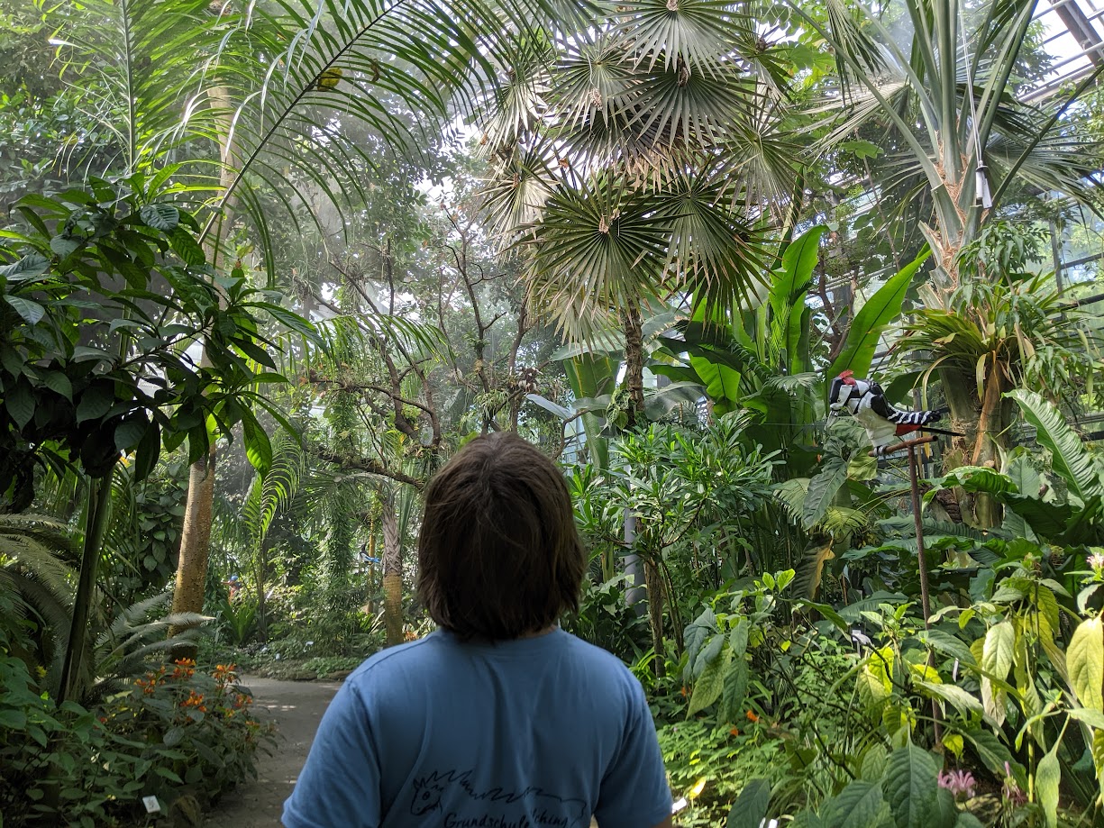 Exotic ambiance in the botanical garden in Jena.